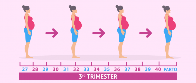 Imagen: 3rd trimester