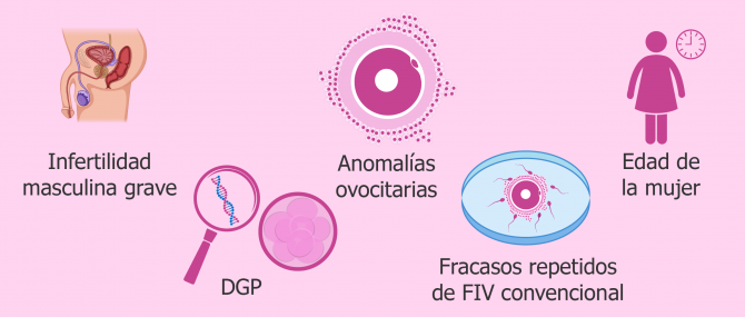 Fecundación del óvulo