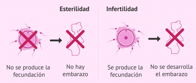 Imagen: Diferencias entre esterilidad e infertilidad