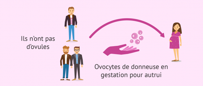 GPA et don d'ovocytes pour des raisons biologiques