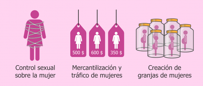 Argumentos en contra de la gestación subrogada