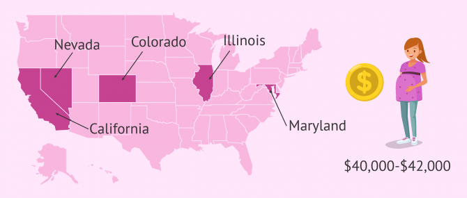 Average surrogate compensation in the USA