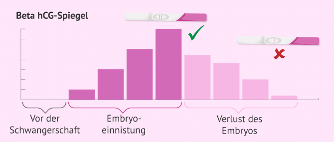 Imagen: biochemische schwangerschaft