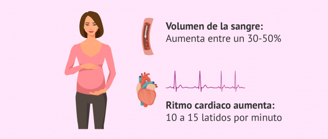 Cambios en el sistema cardiovascular por el embarazo