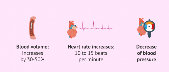 Imagen: Changes to be considered in cardiovascular disease