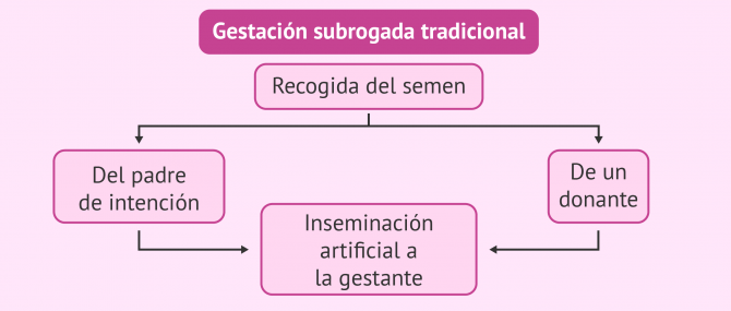 Combinaciones posibles en gestación subrogada tradicional