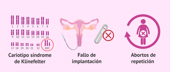 Imagen: Indicaciones del DGP