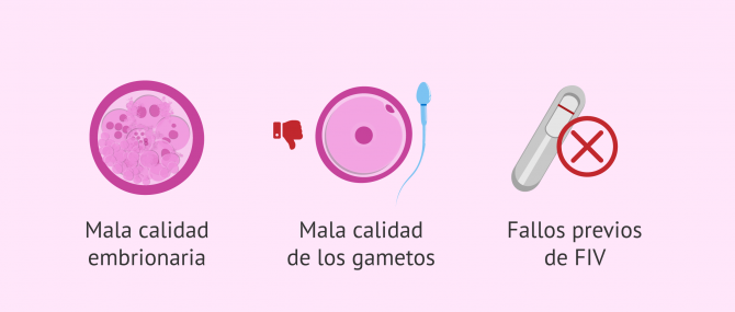 Imagen: Transferencia de más de un embrión
