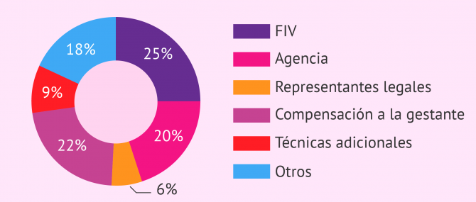 Gráfico circular con el precio de la gestación subrogada desglosado