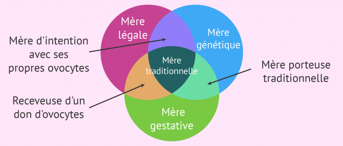 Fragmentation du concept de mère traditionnelle