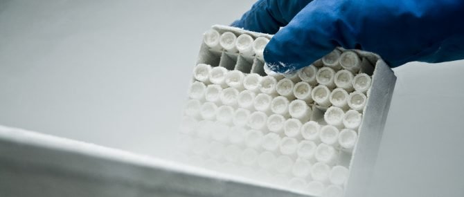 Imagen: embryo freezing