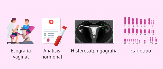 Imagen: Pruebas para el estudio de la fertilidad femenina