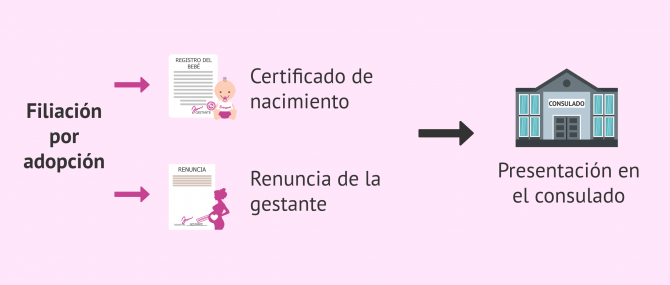 Imagen: Filiación administrativa por adopción
