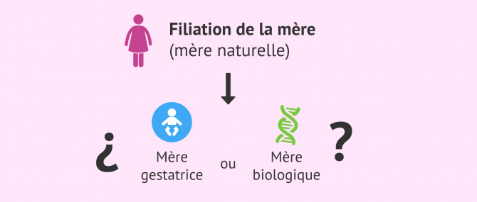 Imagen: filiation maternelle Irlande