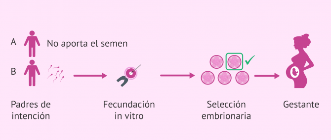 Imagen: Solo un miembro de la pareja aporta semen