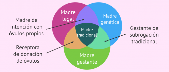 Fragmentación del concepto de maternidad