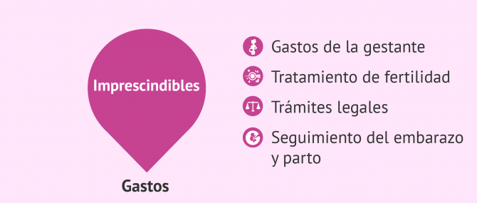 Gastos imprescindibles del presupuesto de gestación subrogada