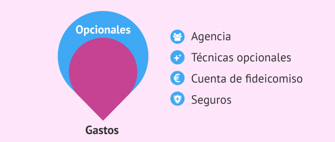 Gastos opcionales pero frecuentes en gestación subrogada