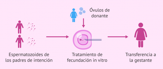 Imagen: Pareja homosexual y padres biológicos