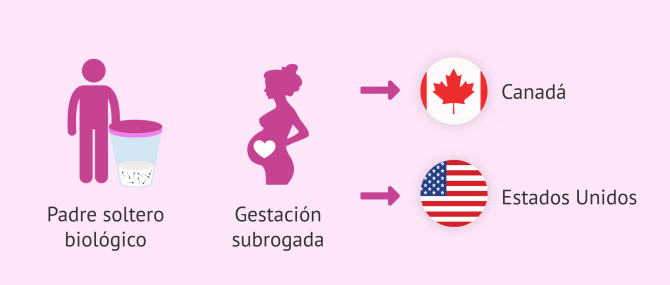 Imagen: Gestación por sustitución para hombres