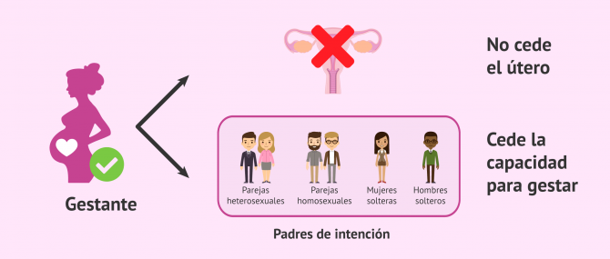 Imagen: Misión de la gestante en la gestación subrogada