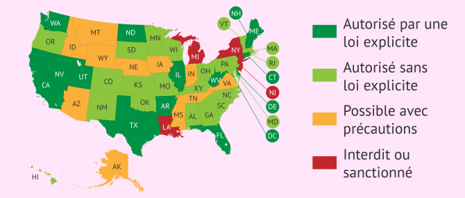 La gestation pour autrui aux USA par États