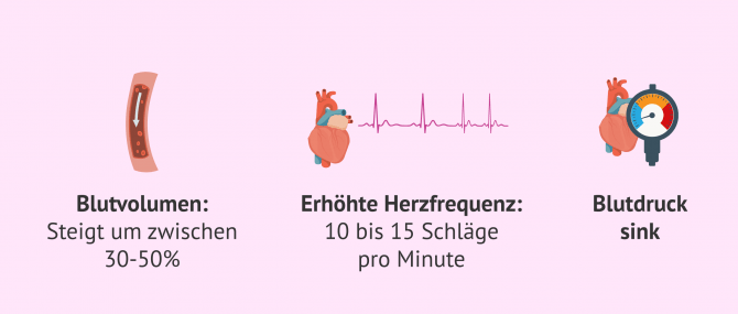 Imagen: Was bei Herz-Kreislauferkrankungen zu beachten ist