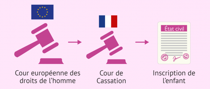 La CEDH oblige la France à reconnaître la filiation du père biologique