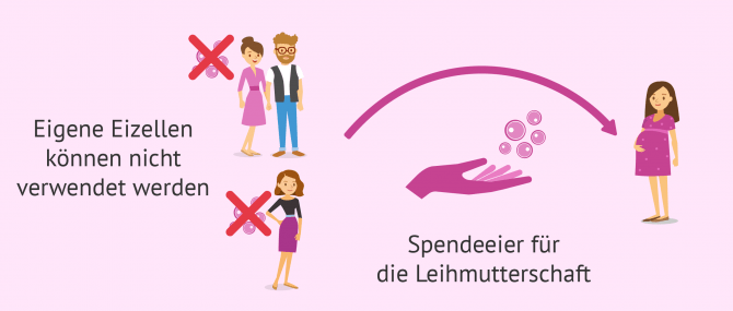Imagen: Wenn die Mutter ihre Eizellen nicht bereitstellen kann, wird auf eine Eizellenspenderin zurückgegriffen