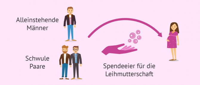 Imagen: Bei Männern ohne weibliche Partnerin wird eine Eizellenspenderin benötigt