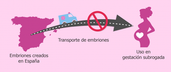 No está permitido transportar embriones creados en España a otro país para gestación subrogada