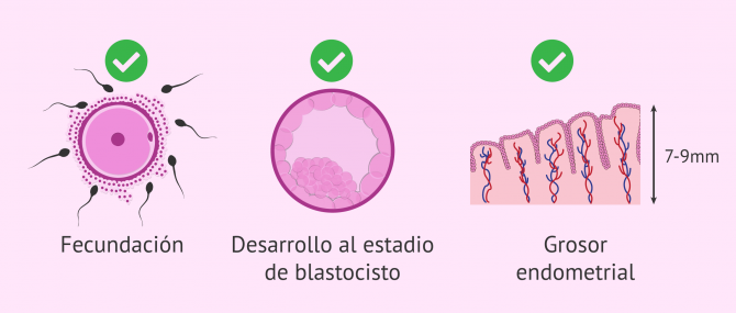Imagen: ¿Embrazo después de un microaborto?