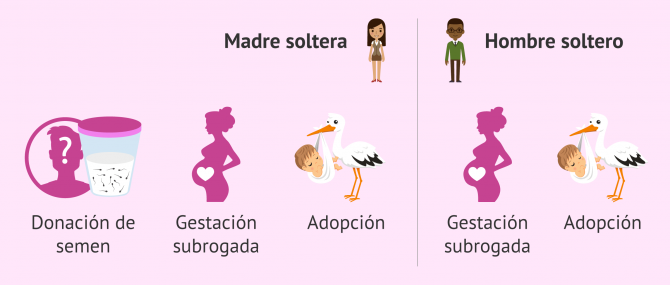 Imagen: ¿Cómo se puede ser madre o padre en solitario?