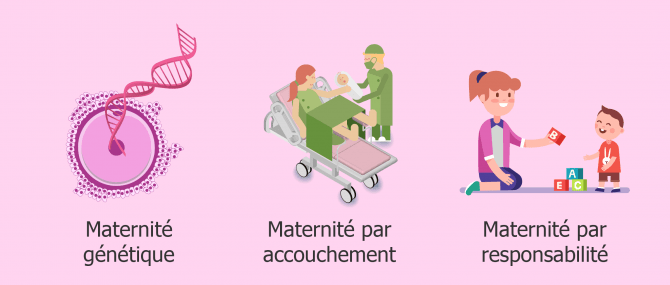 Types de maternité