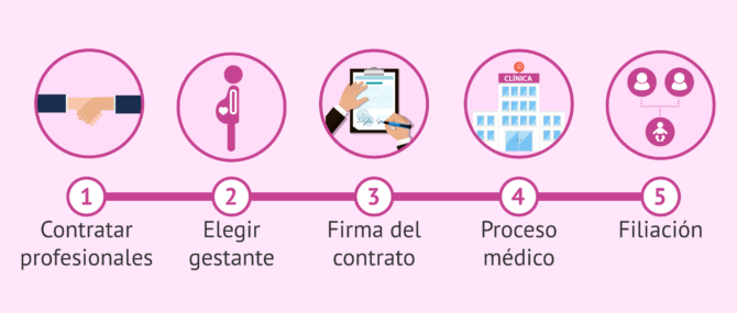 Imagen: Proceso para tener un hijo por gestación subrogada
