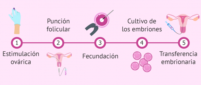 FIV para gestación subrogada