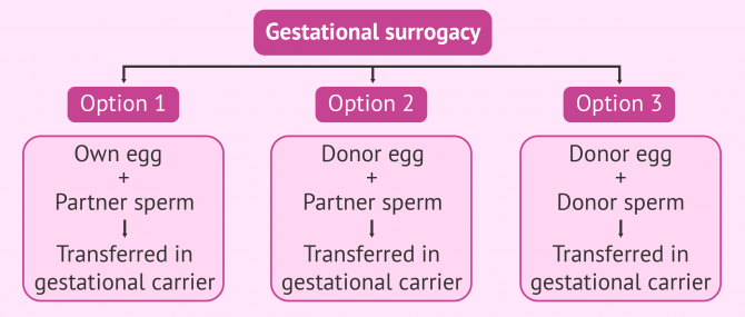 Possible combinations in gestational surrogacy