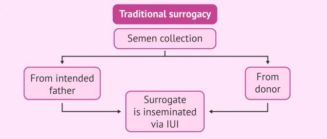 Possible combinations with traditional surrogacy