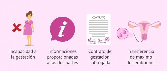 Imagen: Gestación subrogada en Holanda