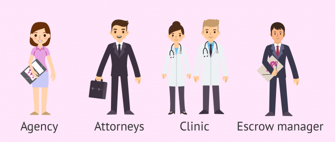 Professionals involved in surrogacy