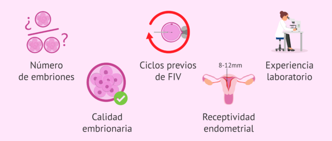 Imagen: Aspectos a tener en cuenta para personalizar la transferencia embrionaria