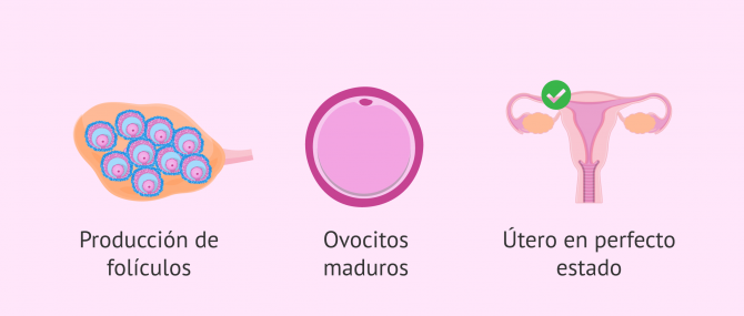 Imagen: Aspectos a tener en cuenta para hacer una FIV