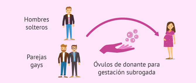 Si no hay pareja femenina se necesitan óvulos de donante