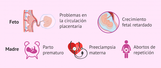 Imagen: Consecuencias del SAFL en el embarazo