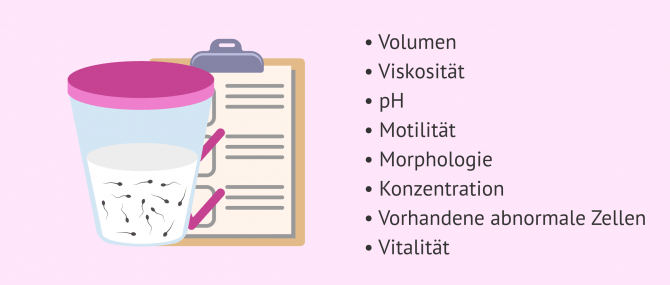 Imagen: Auswertung verschiedener Merkmale des Spermas