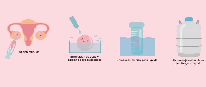 Proceso de vitrificación de óvulos