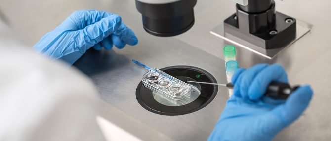 Imagen: Von der Leihmutterschaft nach IVF zurücktreten