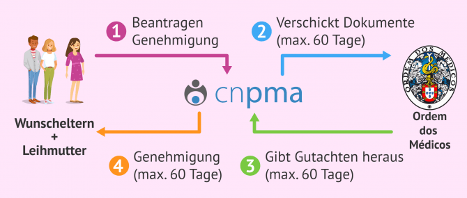 Imagen: Genehmigung zur Aufsetzung eines Leihmuttervertrages