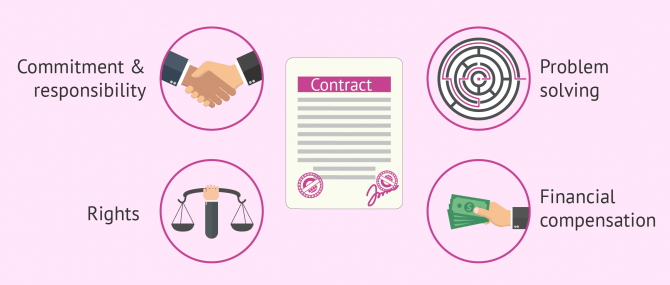 What to look for in a surrogacy contract
