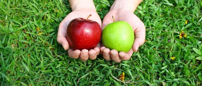 ¿Y si la donante de óvulos oculta información sobre su salud?